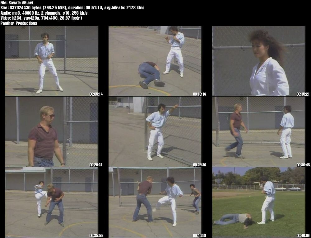 Savate: French Foot Fighting starring Professor Salem Assli (10 DVD Set)