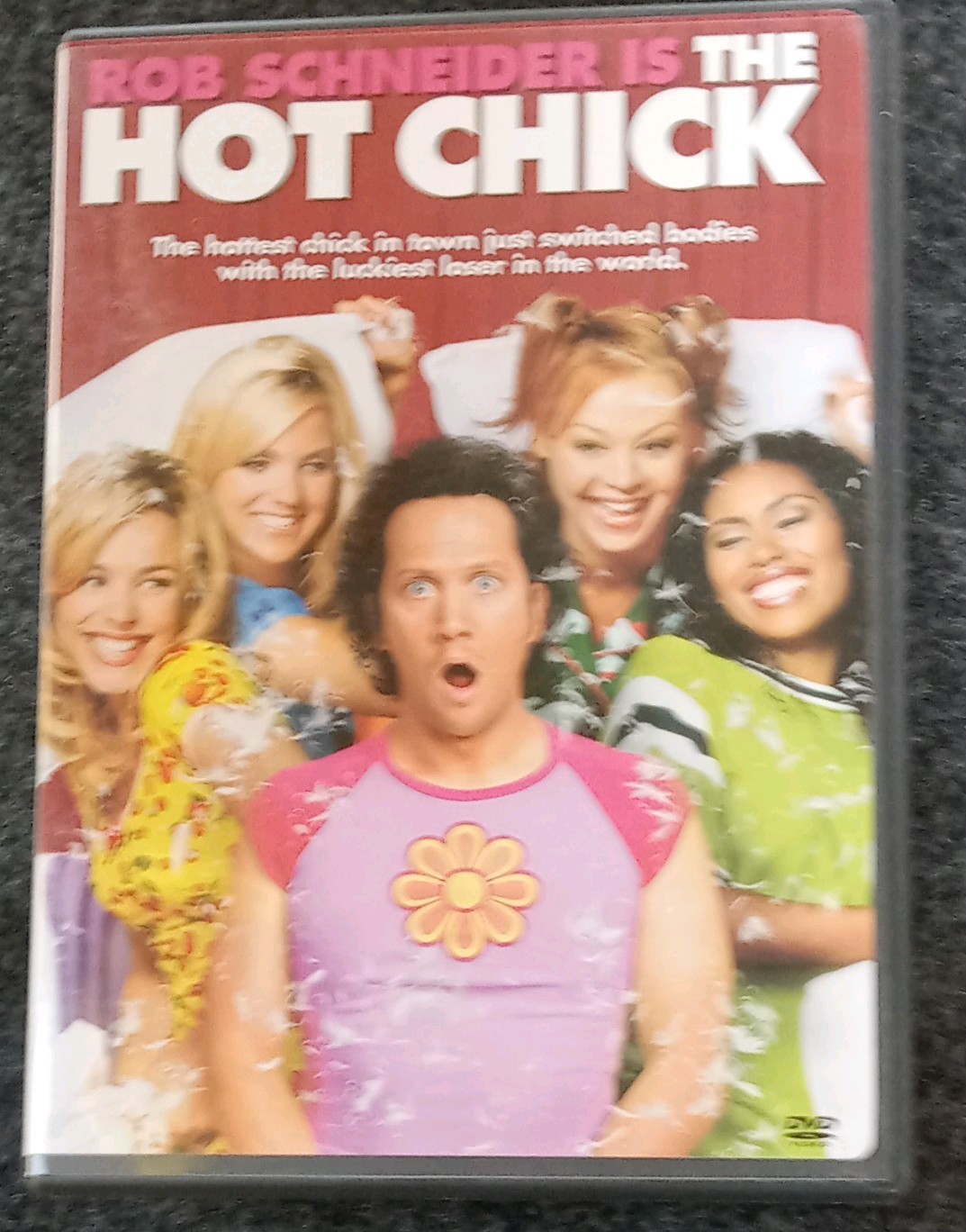 Touchstone Pictures The Hot Chick DVD IN VERY GOOD CONDITION! FAST SHIPPING!