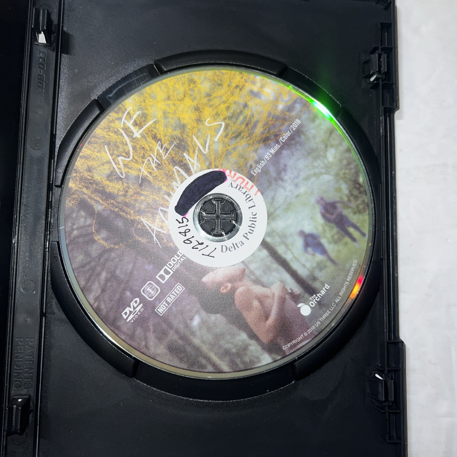 We the Animals (2018) DVD The Orchard R Reion 1 2.35:1 93 minutes ex-library